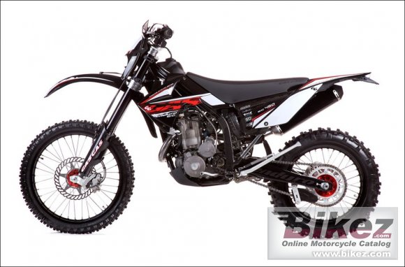 2010 GAS GAS EC 450 4T photo